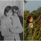 Două producții românești au ajuns în selecţia oficială a Festivalului de Film de la Cannes